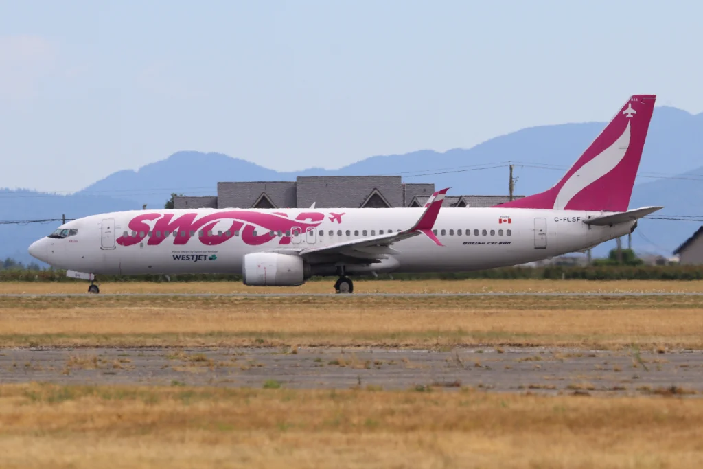C-FLSF