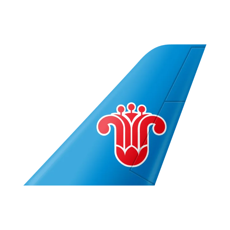 China Southern